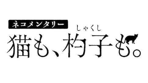 ネコメンタリー 猫も、杓子(しゃくし)も。